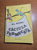carte pentru copii - caciula fermecata - din anul 1989