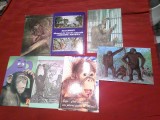 7 Ilustrate Romania - Fauna - Maimute - 4 circulate