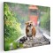 Tablou caine rasa Corgi in ploaie Tablou canvas pe panza CU RAMA 40x60 cm