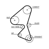 Curea distributie Citroen: Berlingo, C3, C4, C5, C-Elysee, Jumpy, Ford B-Max, C-Max, Ecosport, Fiesta, Focus, Galaxy, Mondeo, S-Max, Transit Connect;, Gates