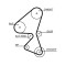 Curea distributie Citroen: Berlingo, C3, C4, C5, C-Elysee, Jumpy, Ford B-Max, C-Max, Ecosport, Fiesta, Focus, Galaxy, Mondeo, S-Max, Transit Connect;