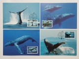 Tonga 1996 - balene, serie CarteMaxima