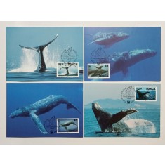 Tonga 1996 - balene, serie CarteMaxima