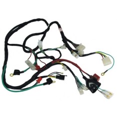 Instalatie Electrica Scuter 4T R10