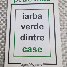 Iarba verde dintre case Petre Rado