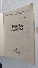 Fonta bainitica - RIPOSAN , SOFRONIE , CHISAMERA foto