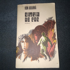 ION ARAMA - CAMPIA DE FOC