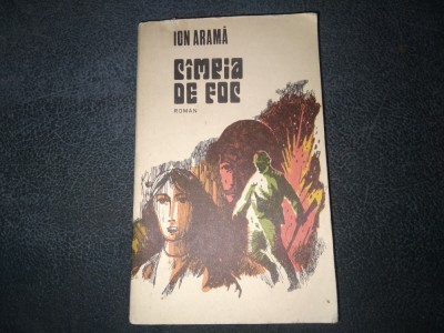 ION ARAMA - CAMPIA DE FOC foto