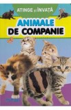Atinge si invata. Animale de companie, Autor Anonim