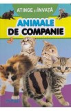 Atinge si invata. Animale de companie