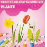 Carte de colorat cu ghicitori. Plante - Adina Grigore