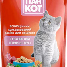 Wise Cat hrană umedă pentru Pisici Junior cu Miel in Sos 100G