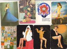 bnk cld Calendare de buzunar - Romania - lot 100 calendare 1980-1989