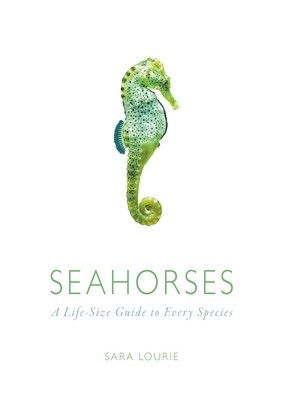 Seahorses: A Life-Size Guide to Every Species foto