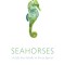 Seahorses: A Life-Size Guide to Every Species