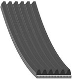 Febi Bilstein Curea transmisie cu caneluri