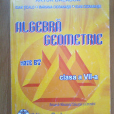 k3 Algebra Geometrie -clasa a VII -a - Artur Balauca, Ioan Tigalo etc