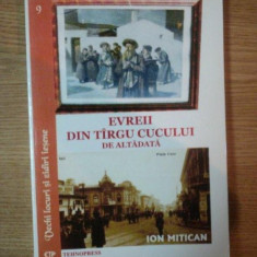 EVREII DIN TARGUL CUCULUI ... DE ALTA DATA de ION MITICAN , PREZINTA HALOURI DE APA