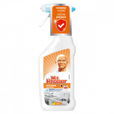 Detergent Universal Spray Antibacterian, Mr. Propper, Kitchen, 750 ml