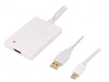 Adaptor DisplayPort 1.1a Alb