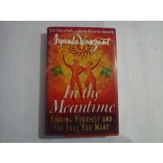 IN THE MEANTIME - IYANLA VASNZANT