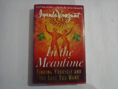 IN THE MEANTIME - IYANLA VASNZANT foto