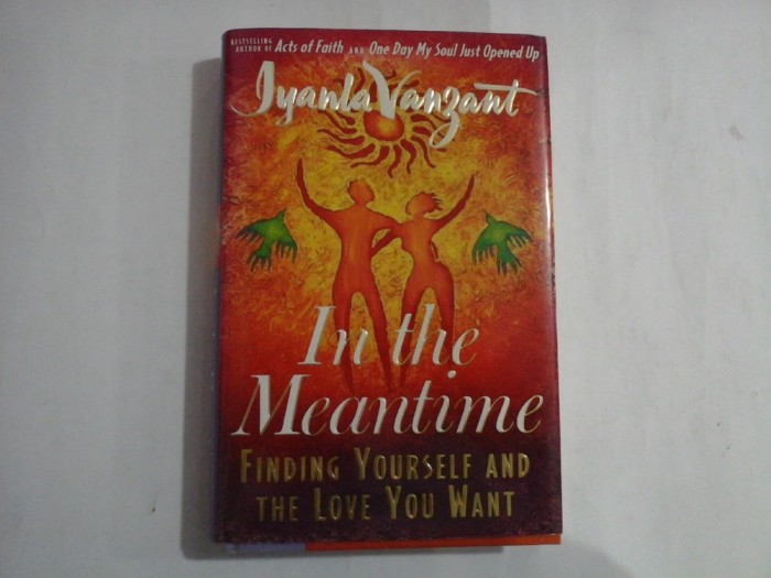 IN THE MEANTIME - IYANLA VASNZANT