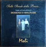 Cumpara ieftin VIAGGIO NELL&#039;OPERA PITTORICA DE DOMENICO MOLINARI [ALBUM LB ITALIANA/FRANCEZA]
