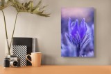 Tablou Canvas, "Flori delicate &icirc;n lumină violetă", Floare, Violet, Bl&acirc;ndă, Pufos, Detaliu, Petale, Delicat, Suav, Macro, Colorat, 26 x 39 cm, CMCLASS