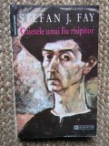 Caietele unui fiu risipitor - Stefan J. Fay