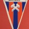 Fanion fotbal - AS &quot;MINERUL&quot; BAIA SPRIE