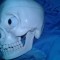 CRANIU UMAN,Craniu didactic din PVC,CRANIU UMAN ,15,9 CM In-3,7 CM Adanc,12 Lat