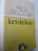 Luni de fiere - Pascal Bruckner, editura Babel, roman, 241 pagini