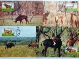Angola 1990 - antilop, serie CarteMaxima