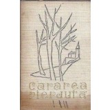 Cararea pierduta (cartonata) - Alain Fournier