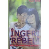 Ingeri rebeli. Carte pentru adolescenti inteligenti. - 2009 - Pavel Corut ($Y8)