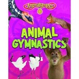 Animal Gymnastics