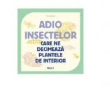 Adio insectelor care ne decimeaza plantele de interior - Vertbobo