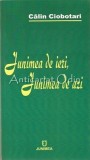 Cumpara ieftin Junimea de Ieri, Junimea de Azi - Calin Ciobotari - Studii Literare, Editura Junimea, Iasi, 2008