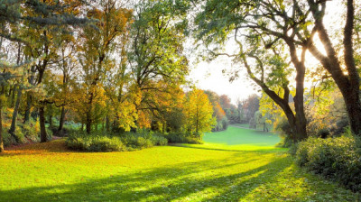 Tablou canvas Toamna in parc, 45 x 30 cm foto