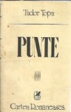 Cumpara ieftin Punte - Tudor Topa