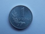 1 GROSZ 1949 POLONIA-XF