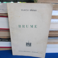 VLAICU BARNA - BRUME ( POEME ) , ILUSTRATII W. SIEGFRIED , ED. 1-A , 1940