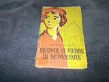 ALEXANDRA BRUSTEIN - DRUMUL SE PIERDE IN DEPARTARE
