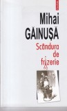 Mihai Gainusa - Scandura de frizerie