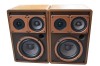 Boxe Magnat Interfunk MG 12, 41-80W