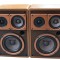 Boxe Magnat Interfunk MG 12