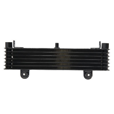 RADIATOR YAMAHA XJ 900 1995 2003 foto