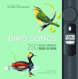 Bird Songs: 250 North American Birds in Song
