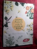 138. FARES - Despre Plante Si Alte Lucruri Bune EDITIA 12 . , 140pag ilustrate - ceaiuri , componente , utilizare